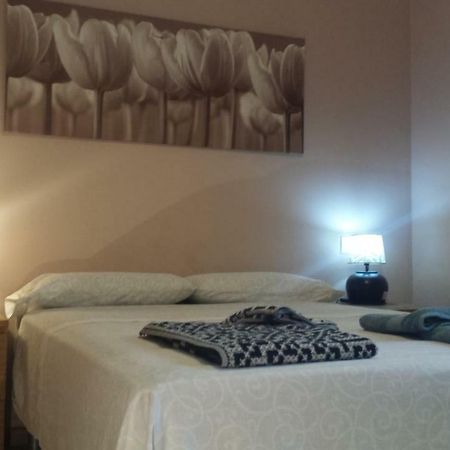 Apartamento La Reina 科爾多瓦 外观 照片